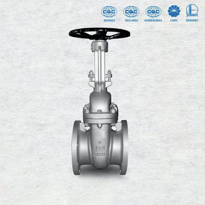 As extremidades da flange moldaram o tamanho de aço 2" das válvulas de porta ASME B16.5 a 36" API 6D