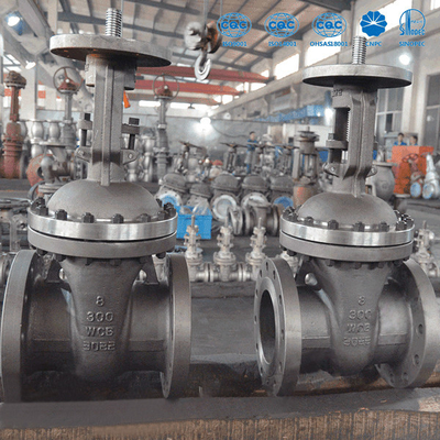 As extremidades da flange moldaram o tamanho de aço 2" das válvulas de porta ASME B16.5 a 36" API 6D