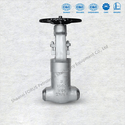 As extremidades da flange moldaram o tamanho de aço 2" das válvulas de porta ASME B16.5 a 36" API 6D